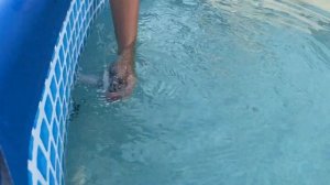 Подключение фильтра к бассейну INTEX