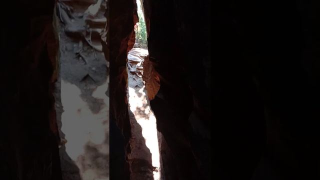 14. Путешествие по Каменному городу. "Кажется кто-то много ел..." смотреть онлайн