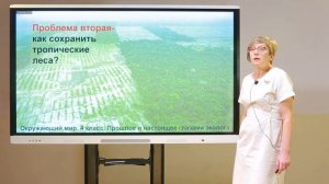 4 класс. Окружающий мир. Прошлое и настоящее глазами эколога