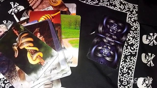 Что хочет сказать о вас пространство? смотреть онлайн