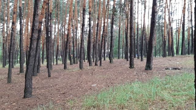 Глубина сферы Моего Святого Духа смотреть онлайн