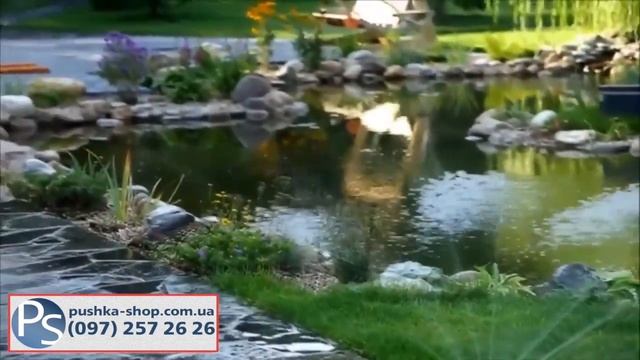 Автоматический полив смотреть онлайн