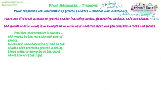 The Whole of OCR A A-Level Biology | Module 5: Communication, homeostasis and energy | Revision смотреть онлайн