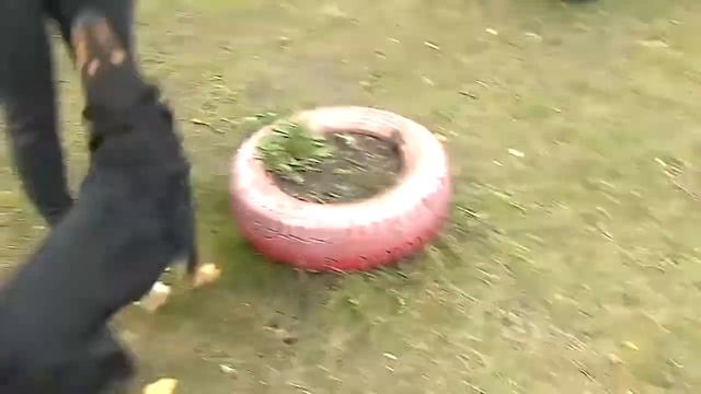 Собаку выкинули на обочине... смотреть онлайн