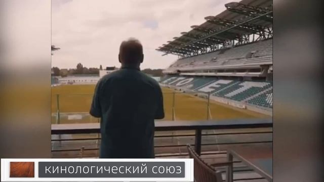 кинология как образ жизни смотреть онлайн