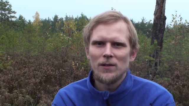 Пушистые Приключения в 4K