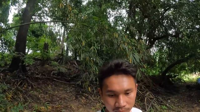 Sorry смотреть онлайн