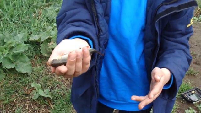 Идем на рыбалку! Кого мы ПОЙМАЛИ в лесу...... смотреть онлайн