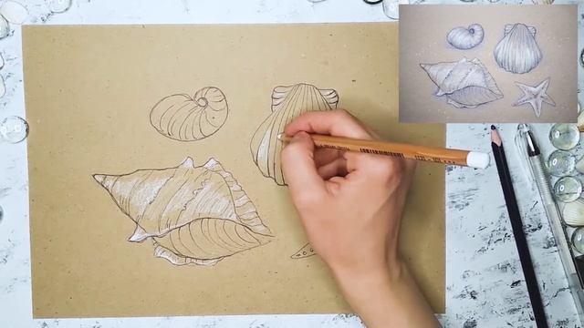 Рисуем ракушки. Теплое лето. смотреть онлайн