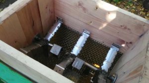 Простейший гребнеотделитель для винограда своими руками!