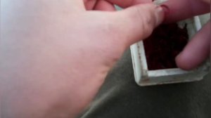 ЛОВЛЯ ГУСТЕРЫ ЗИМОЙ!Простая и рабочая снасть.