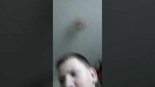 примера клипа легулярно смотреть онлайн