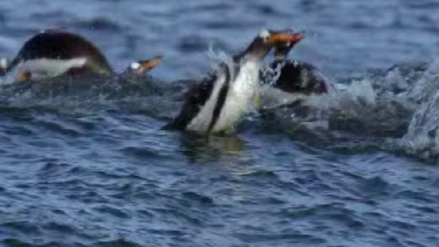 Застывшая планета. На краях Земли смотреть онлайн