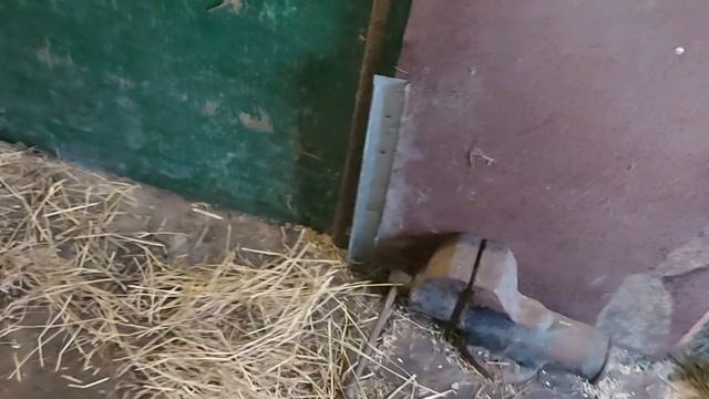 Катька осталась одна... смотреть онлайн