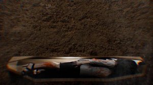 ПОХОРОНИЛИ ЗАЖИВО ужасные случаи . 18+  Часть 1