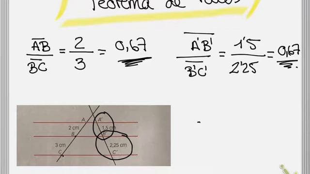 Teorema de Tales 4 ESO Aplicadas смотреть онлайн