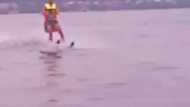 2012-07-31 Водные лыжи Кудряши.3gp смотреть онлайн