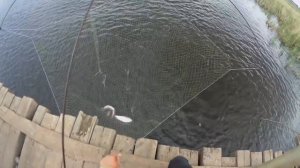 РЫБАЛКА ПАУКОМ С МОСТА!!! Как мы с Жекой и Славяном ловили ЩУКУ и САЗАНА!!!