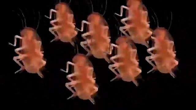 Тараканы танцуют под Татарстан супер гуд 10 часов