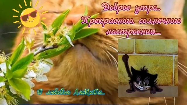доброе утро прекрасного солнечного денёчка с любовью ЛюМиСа.mp4 смотреть онлайн