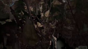 S.T.A.L.K.E.R-Время Альянса 3-Связь времён. Тайник Лешего.