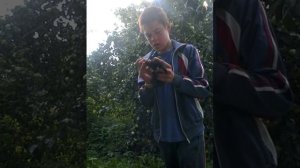 Как лечить понос у маленьких крольчат.