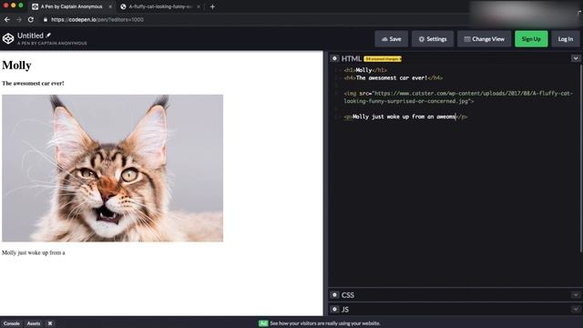 Make you first Website in HTML using Codepen! смотреть онлайн