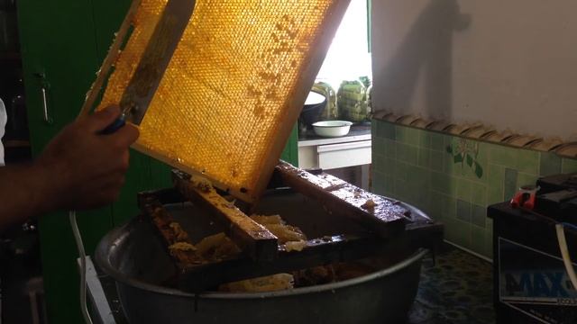 Тест ножа Гуслия смотреть онлайн