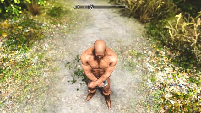 SKYRIM ENHANCED GRAPHICS MODE смотреть онлайн