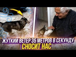 Попали под ураганЧуть не потеряли Хасю