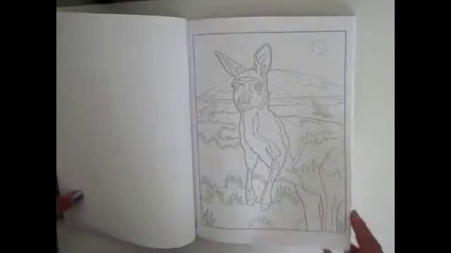 Flip Through Dover Creative Haven Wildlife Color By Number Coloring Book
