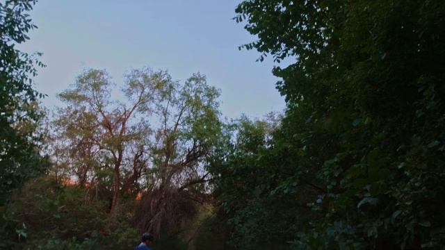 Велосреда №14, Мать торчков, Спуск по трейлу (Вертолётка), 20.07.2022 смотреть онлайн