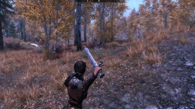 Skyrim Walking Through Silver Birch Sunny Day TESV смотреть онлайн