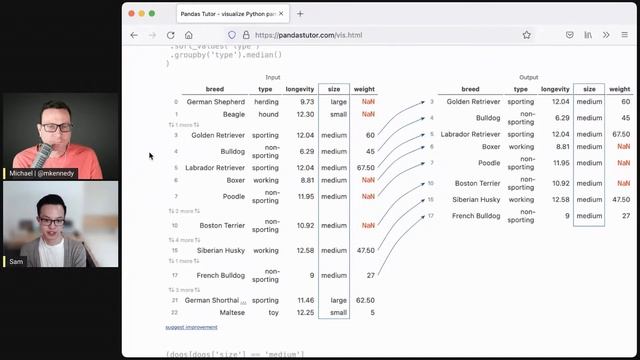 Pandas Tutor - Talk Python Live Stream смотреть онлайн