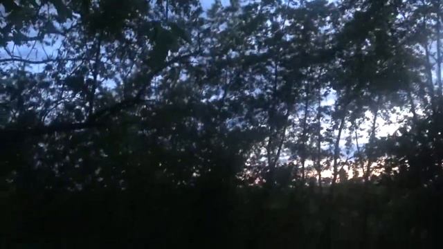 Обзор экшен-камеры Sony HDR-AS300! Съемка ночью!