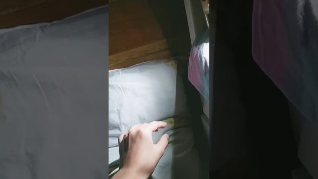 24 сентября 2022 г. смотреть онлайн