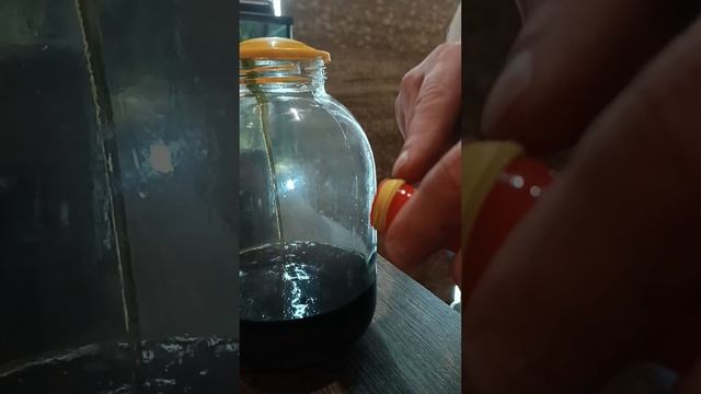 коньяк в домашних условиях на перегородках грецких орехов.