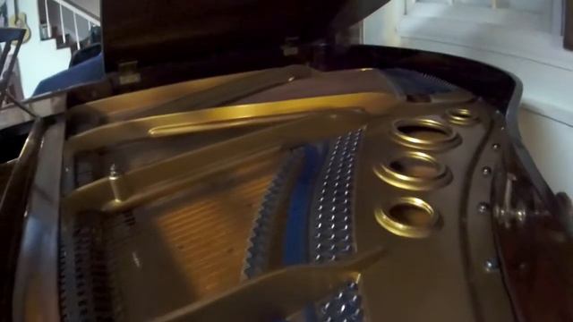 INCREDIBLE BLUTHNER GRAND PIANO MODEL 7A смотреть онлайн
