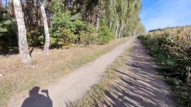 ЖИЗНЬ ПРЕКРАСНА,КОГДА ЕСТЬ СОБАКА🐕😁21 ДЕНЬ ВОЗДЕРЖАНИЯ🗓20.09.23 смотреть онлайн