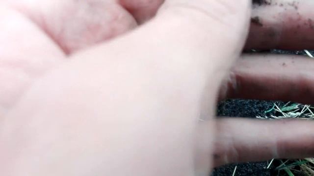 Поиск монет на хуторе с металлоискателем Minelab Equinox 600!!! смотреть онлайн