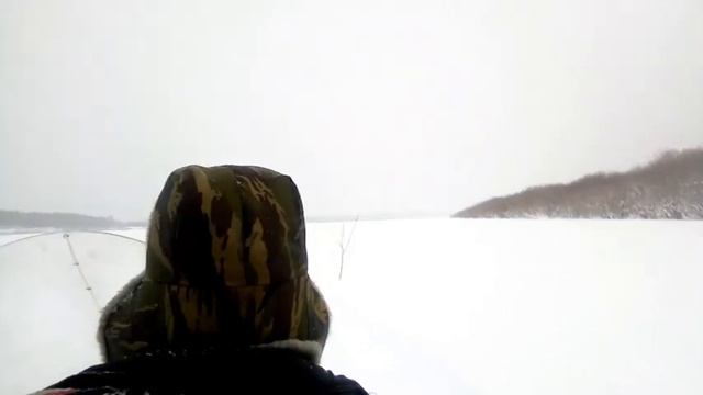 Бахта зима. Езда на Бора. смотреть онлайн