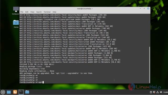 How to Install Go on Linux Mint 20 смотреть онлайн