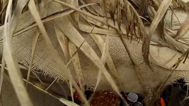 ШОК !!!!! Утки падают в лодку! Охота на утку