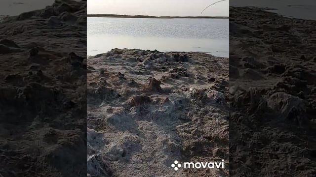 Сергей 111 vs судак. Арнасай рыбалка смотреть онлайн