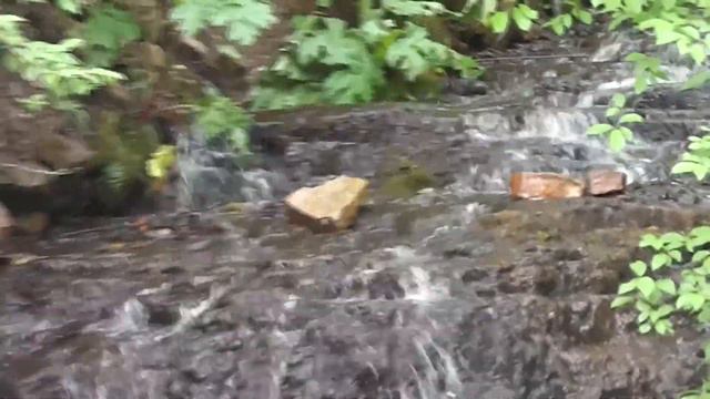 ВОДОПАД НА РЕКЕ ЧАЛПА смотреть онлайн