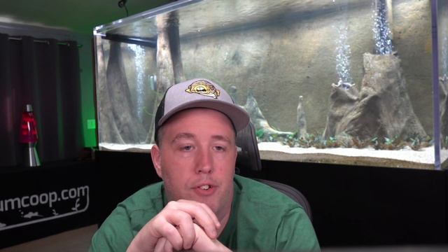 Live Q&A with Aquarium Co-Op смотреть онлайн
