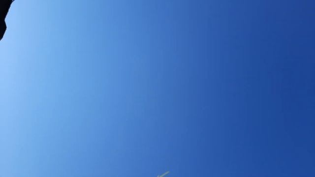 Пермские высоколётные голуби, которым линька и жара по барабану. смотреть онлайн
