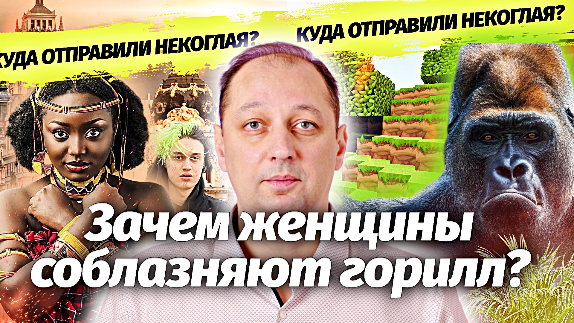 Зачем женщины соблазняют горилл, куда отправили Некоглая и мисс Америка уже не та смотреть онлайн