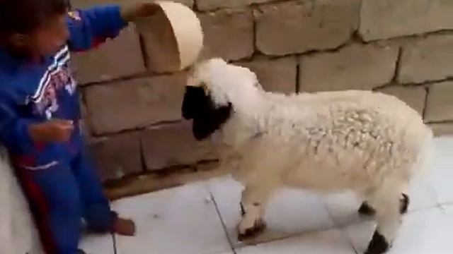 бедный ребенок 11 смотреть онлайн