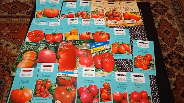 Обзор на семена томатов в 2021 году. Мои новинки и проверенные сорта семян. смотреть онлайн